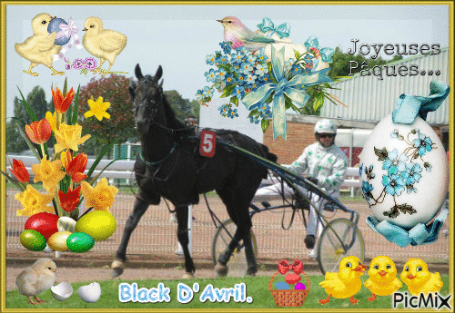 Le champion Black d'Avril. - Free animated GIF