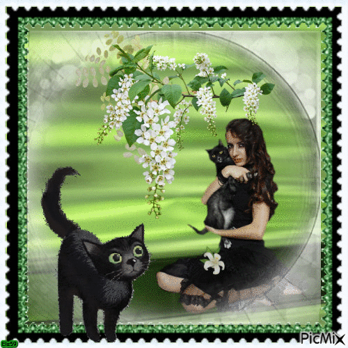 I love black Cats - GIF animé gratuit