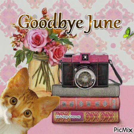 Goodbye June - Free animated GIF