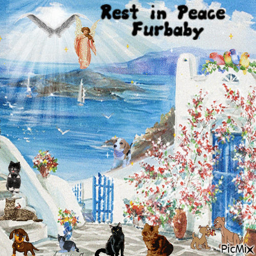 Rest in peace furbaby - GIF animé gratuit