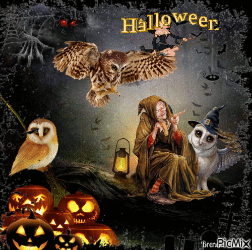 halloween owl - GIF animado grátis