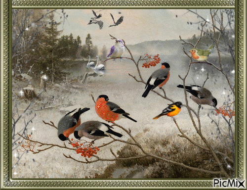 Птицы зимой - Ingyenes animált GIF