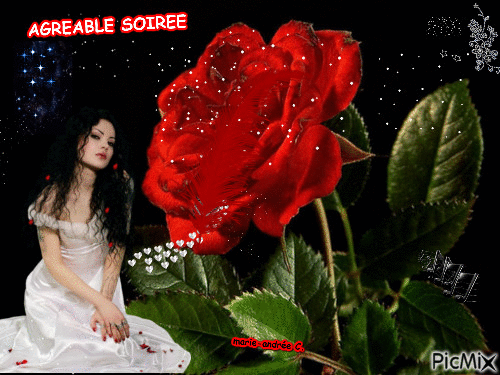 Rose rouge - Belle femme / Agréable soirée - Бесплатный анимированный гифка