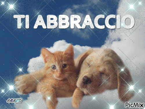 TI ABBRACCIO - Безплатен анимиран GIF