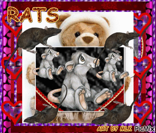 RATS - Darmowy animowany GIF