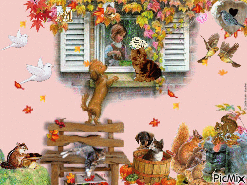 automne chiens chats tinou - 無料のアニメーション GIF