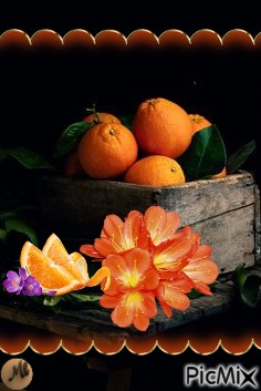 Flores y fruta - zdarma png
