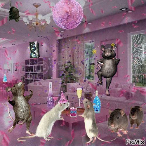 Rat House Party - Darmowy animowany GIF
