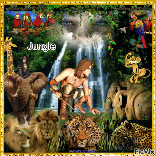 Jungle - 免费动画 GIF