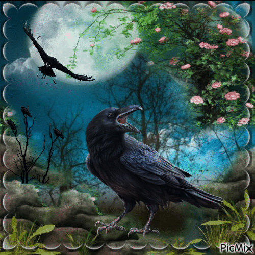 le corbeau - Besplatni animirani GIF
