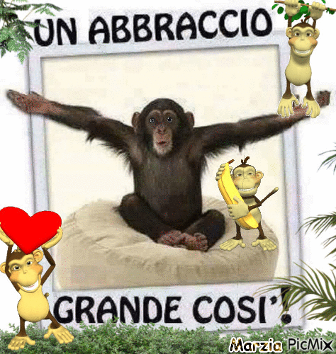 Monkey - GIF animado gratis