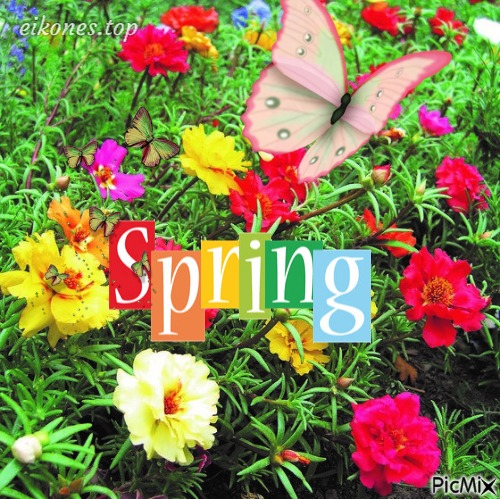 Spring.! - PNG gratuit