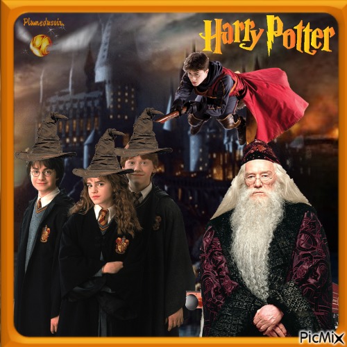 Harry Potter - bezmaksas png