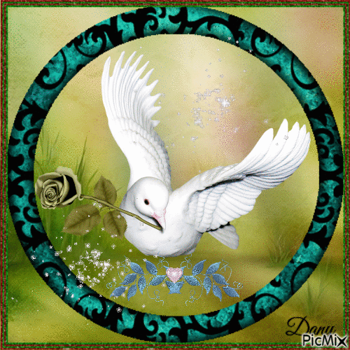 jolie colombe - Nemokamas animacinis gif
