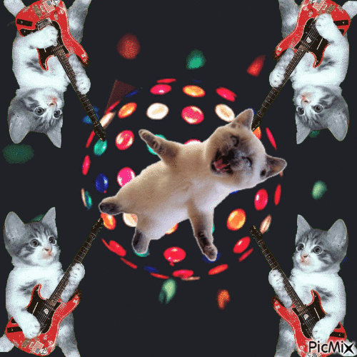 Disco Kitty - GIF animasi gratis