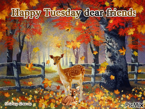 Cute Happy Tuesday Fall Images - HD Greetings Image
