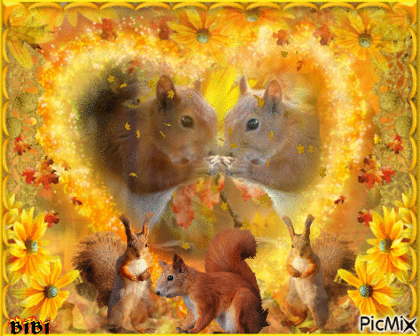 Deux amours d'écureuils - 無料のアニメーション GIF