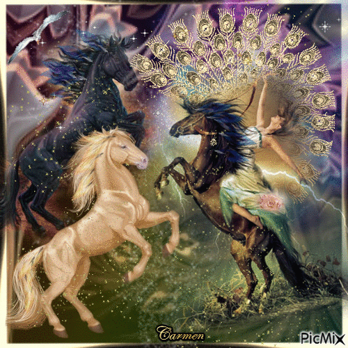 Il magico mondo dei cavalli - Δωρεάν κινούμενο GIF