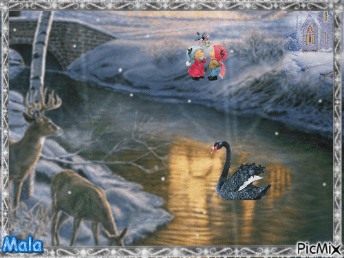 Cygnes noirs de Noël - Ingyenes animált GIF