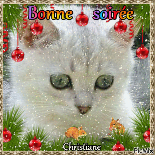 BONNE SOIREE 12 12 - 無料のアニメーション GIF