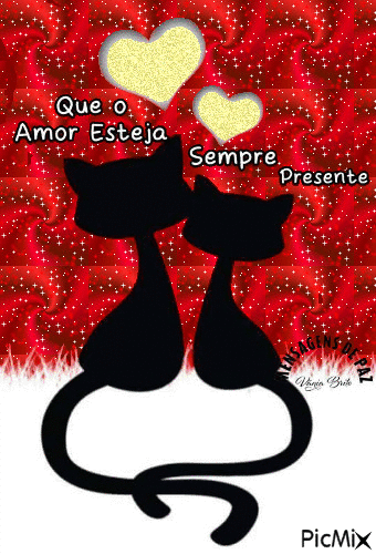 Amor de gato - Darmowy animowany GIF