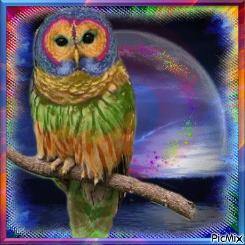 Owl's Good - PNG gratuit