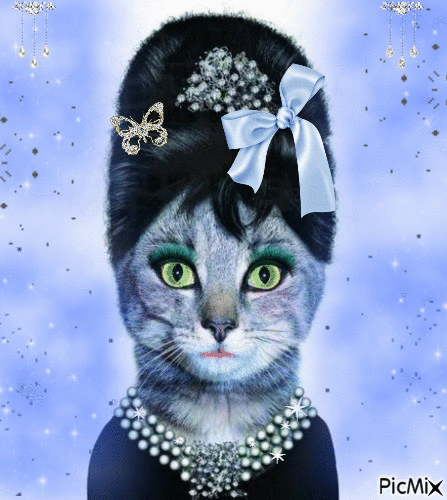 Princesse-kitch-cat - GIF animé gratuit