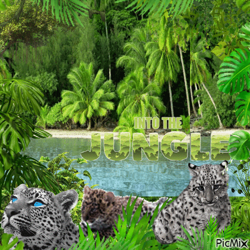 Bébé panthère dans la jungle - GIF animasi gratis