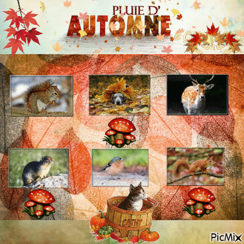 PLUIE D'AUTOMNE - Free animated GIF