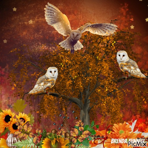 Autumn Owl - PNG gratuit