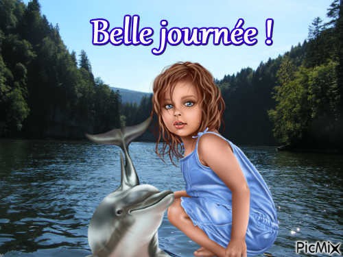 Le dauphin - Free PNG