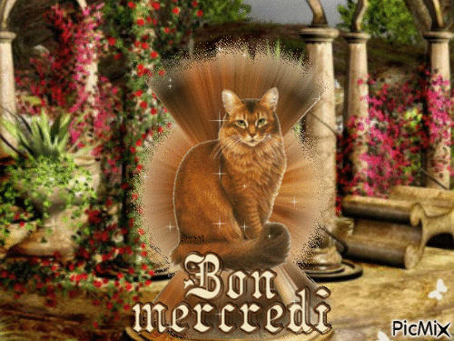Mercredi - Безплатен анимиран GIF