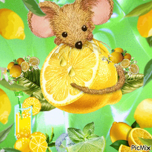 Citrons - Ilmainen animoitu GIF