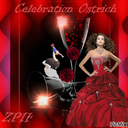 Celebration Ostrich - Gratis animeret GIF