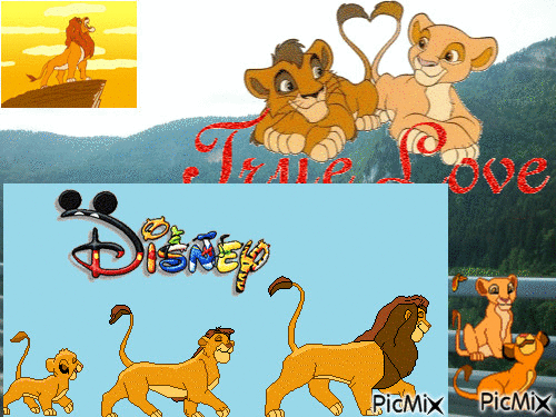 le roi lion 1 et 2 - Gratis animerad GIF