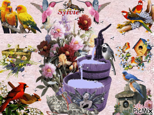 fontaine et oiseaux ma création a partager sylvie - GIF animé gratuit