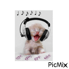 chaton et la musique - Безплатен анимиран GIF