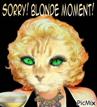 Sorry, having a Blonde Moment !! - Gratis animerad GIF