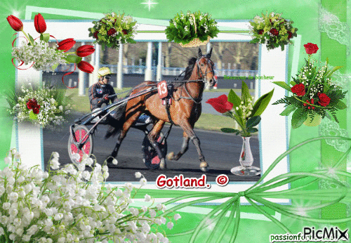 Le champion Goltand. © - Bezmaksas animēts GIF