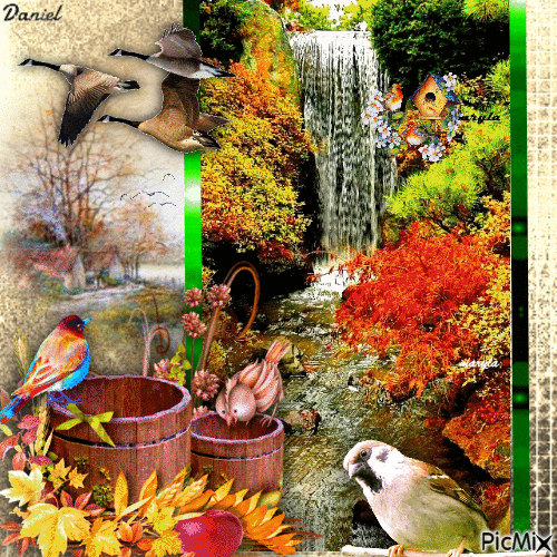 Oiseaux en automne - GIF animé gratuit