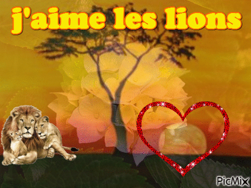 jaime les lions car ces gentil - 無料のアニメーション GIF
