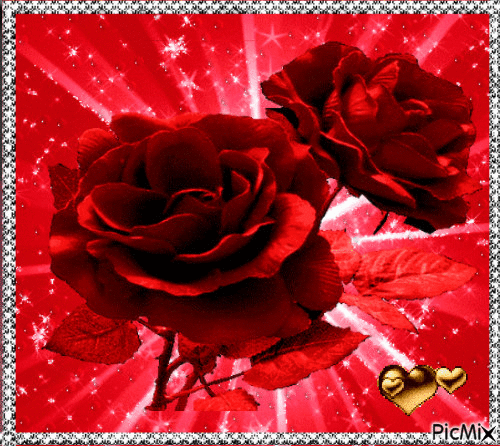 roses rouge - Free animated GIF - PicMix