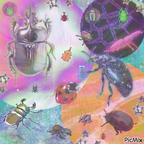 i love beetles!!!!!!! - GIF animado gratis