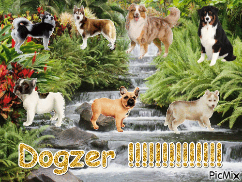 Pour mes amies de Dogzer. - GIF animate gratis