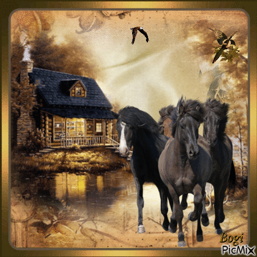 The horses... - Бесплатный анимированный гифка