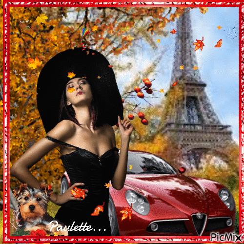 femme et sa voiture a PARIS - Free animated GIF
