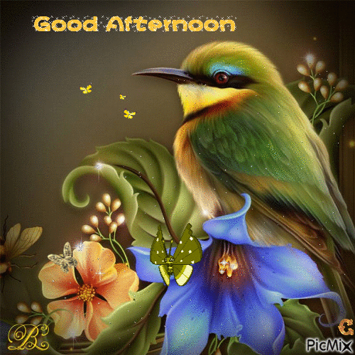 Good Afternoon - Ücretsiz animasyonlu GIF