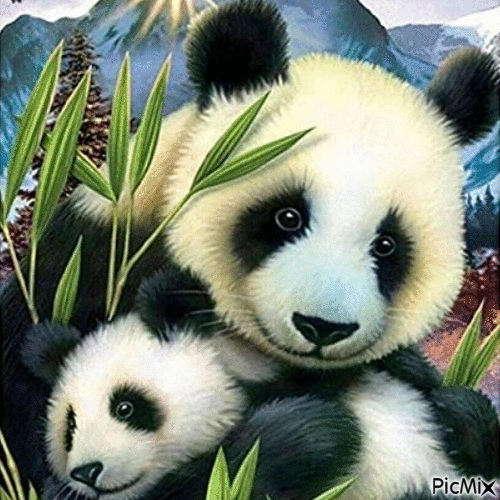 pandas - Δωρεάν κινούμενο GIF