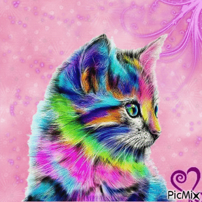 chat coloré - GIF animado grátis