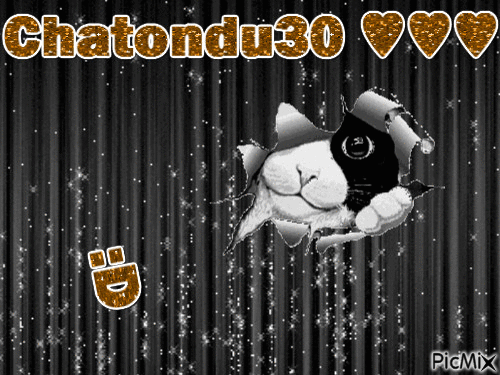 Chaton !!! - Ücretsiz animasyonlu GIF